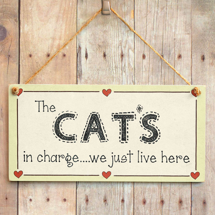 The Cat's in charge we just live here - Crazy Cat Lover Sign | eBay